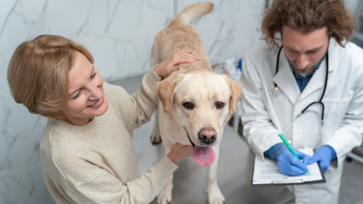 Servicios Veterinarios